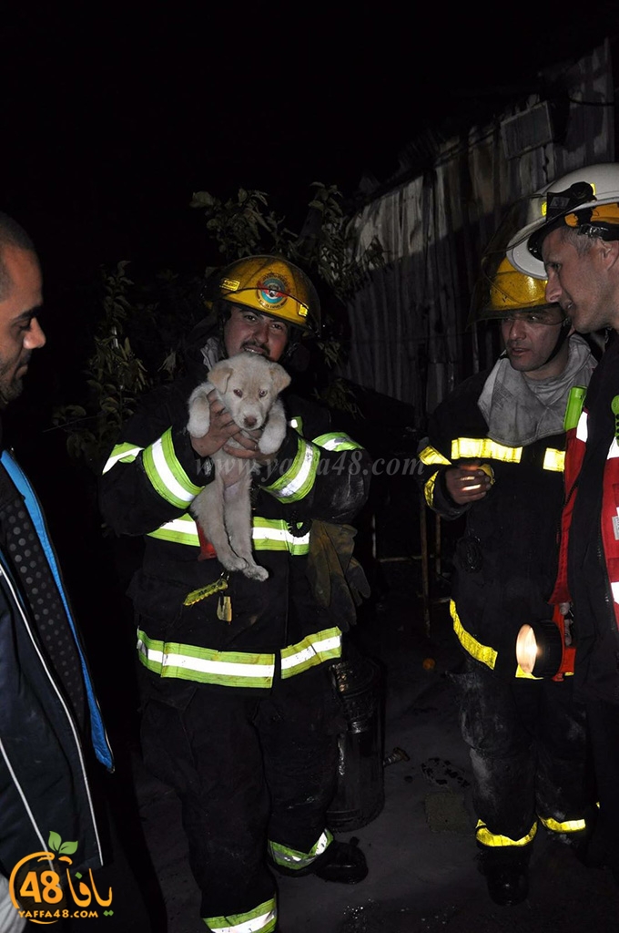 Fire in ramljhs8w (4).jpg